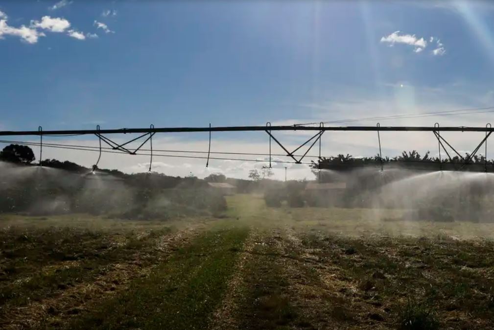 Veja como ficam as exportações agrícolas após acordo Mercosul-União Europeia