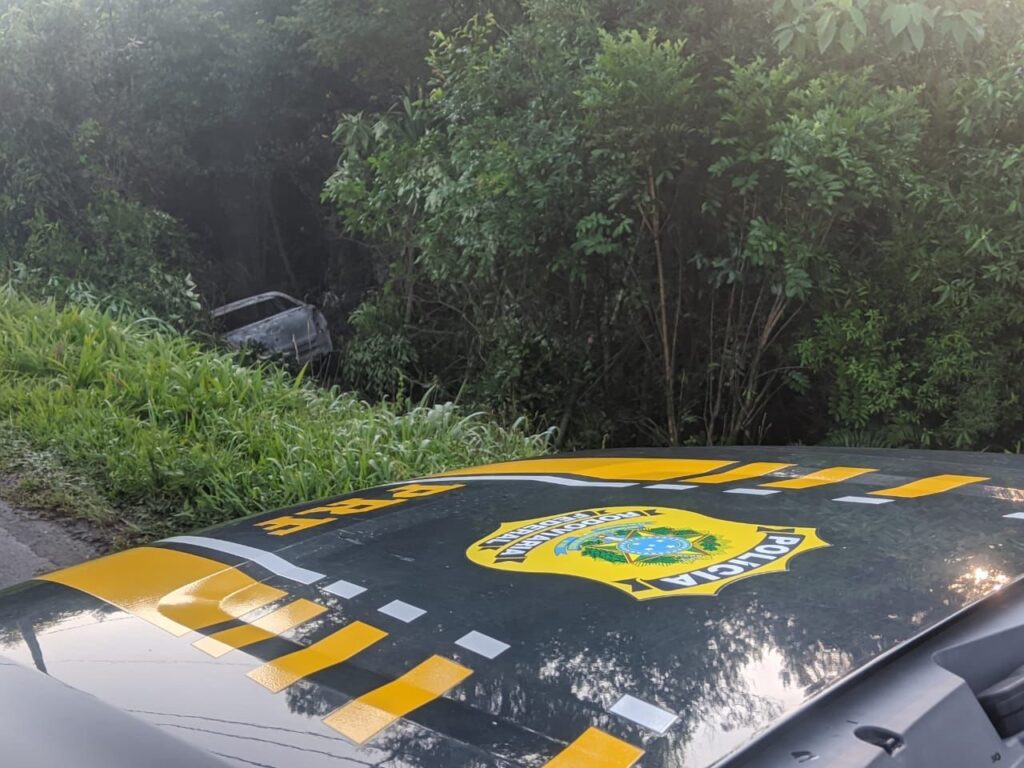 Veículo sai da pista, pega fogo e motorista morre na BR-153