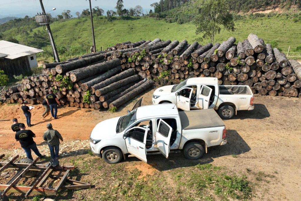 Multa por crimes ambientais cresce 24% no Paraná