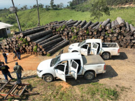 multa crimes ambientais Paraná