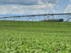 BNDES libera mais R$ 4,8 bilhões para programas agropecuários