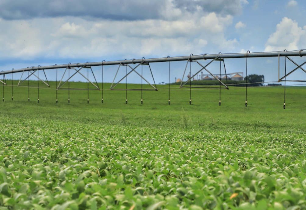 BNDES libera mais R$ 4,8 bilhões para programas agropecuários