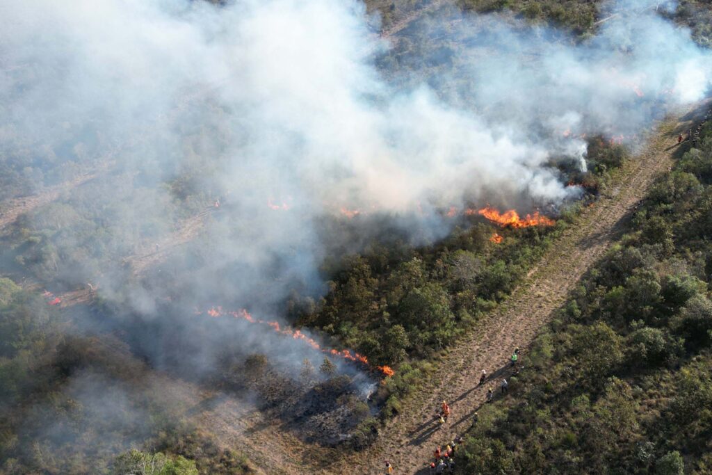 Combate a incêndios no Paraná cresceu 55% no último ano