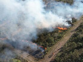 Incendios-florestais-cresceram-109-no-Parana-scaled.jpg