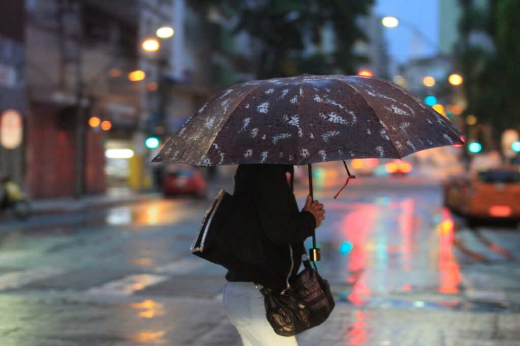 Jardins de Chuva: projeto propõe nova forma de prevenir enchentes em Curitiba