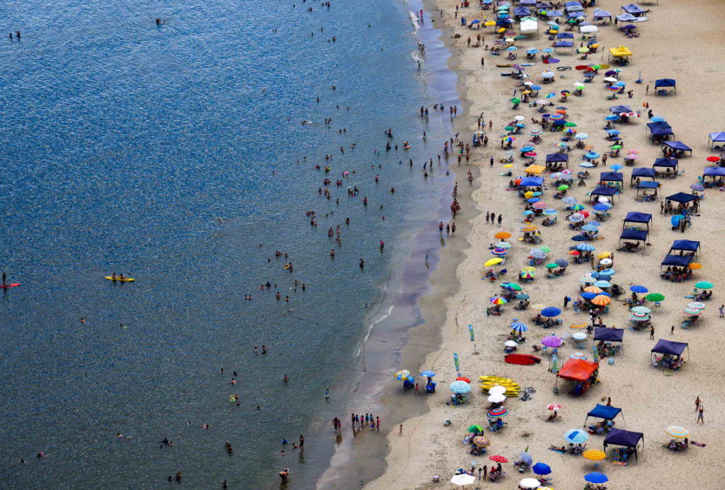 Mais de 2 mil pessoas são queimadas por águas-vivas em uma semana no litoral