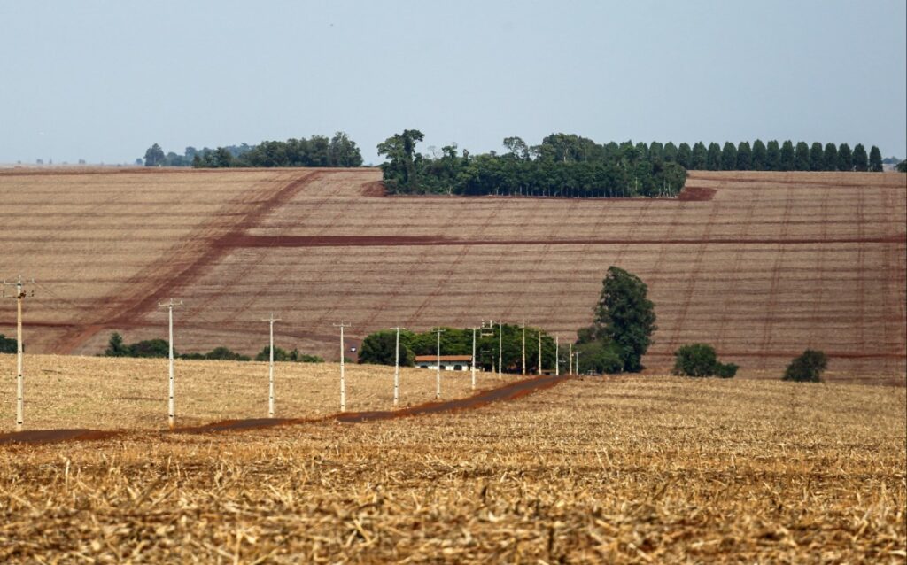 Mas quem quer vender terra agrícola?