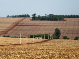 Mas quem quer vender terra agrícola