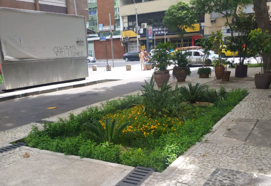 jardins de chuva no rio de janeiro