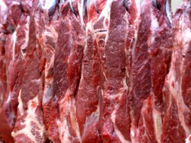 exportação carnes paraná carne de boi paraná carne bovina