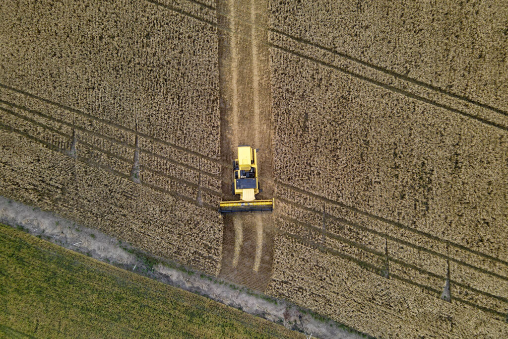 Paraná terá um dos maiores crescimentos de produção agrícola em todo o Brasil