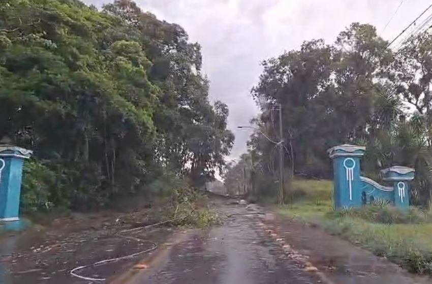 Temporal deixa rastro de destruição no Litoral do Paraná; ventos de até 68km/h